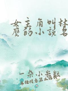 女主角叫林清什么的小说名字