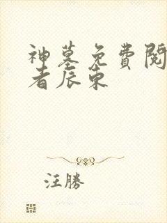 神墓免费阅读作者辰东