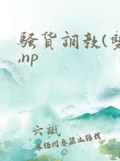 骚货调教(双性,np