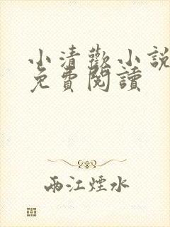小清欢小说全本免费阅读