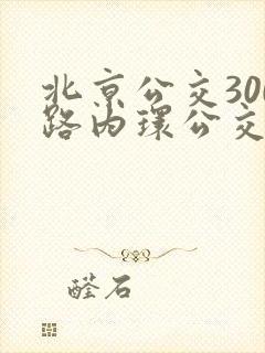 北京公交300路内环公交车站点 北京公交300路内环公交车站点