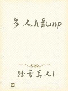多人h乱np