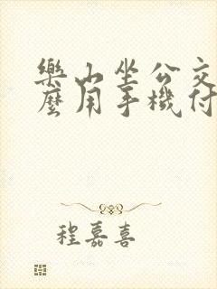 乐山坐公交车怎么用手机付款
