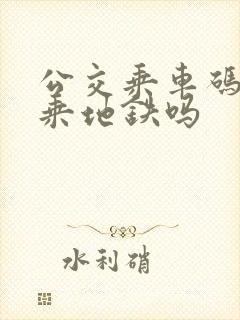 公交乘车码可以乘地铁吗