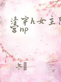 清穿h女主开后宫np
