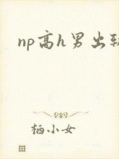 np高h男出轨