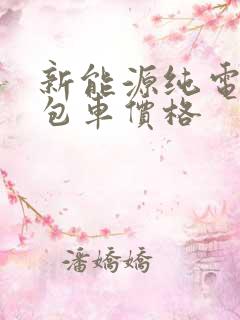 新能源纯电动面包车价格