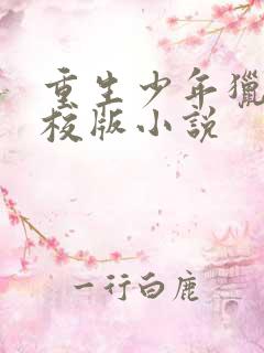 重生少年猎美精校版小说