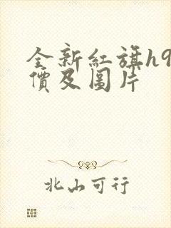 全新红旗h9报价及图片