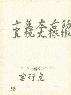十万左右的车购置税大概缴纳多少钱