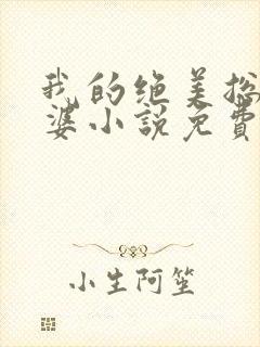 我的绝美总裁老婆小说免费