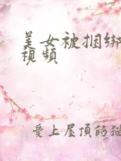 美女被捆绑调教视频