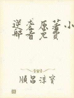 逆袭原著小说在哪看免费