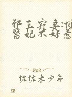 邪王宠妻:倾世医妃不好惹