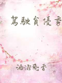 驾驶员优秀事迹