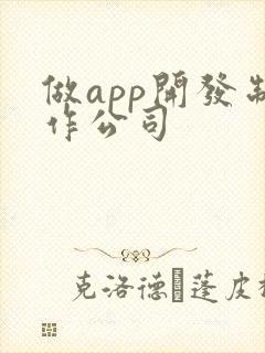 做app开发制作公司