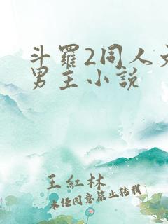 斗罗2同人文双男主小说
