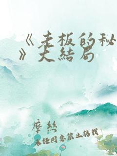 《老板的秘书们》大结局