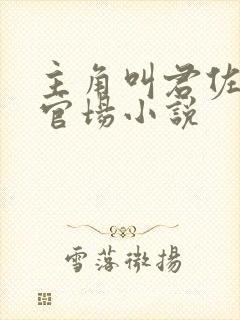 主角叫君佐漫的官场小说