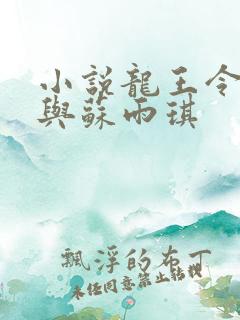 小说龙王令陈平与苏雨琪