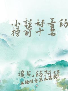 小说好看的排行榜前十名