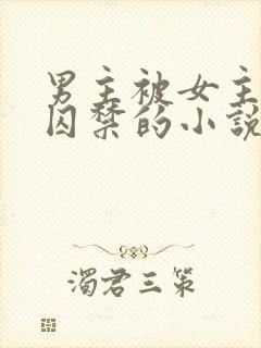 男主被女主改造囚禁的小说
