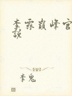 李霖巅峰官场小说