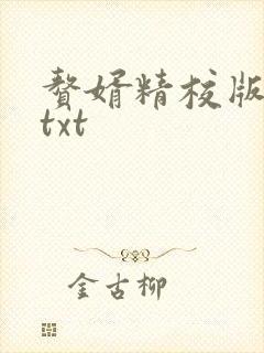 赘婿精校版全本txt