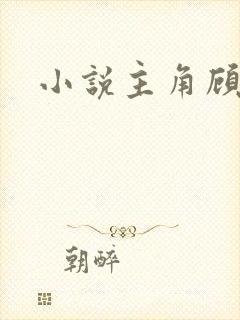 小说主角顾北