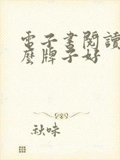 电子书阅读器什么牌子好