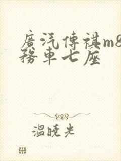 广汽传祺m8商务车七座