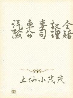 汽车事故全损保险公司理赔要多久
