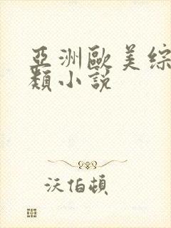 亚洲欧美综合另类小说