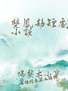 双凤劫短剧原著小说