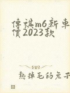 传祺m6新车报价2023款 传祺m6新车报价2023款