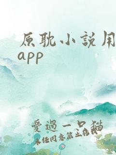 原耽小说用什么app