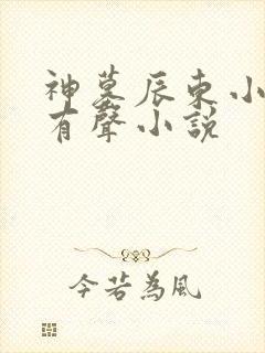 神墓辰东小说听有声小说