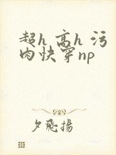 超h 高h 污肉快穿np