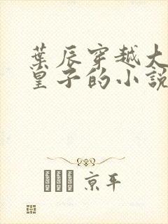 叶辰穿越大夏九皇子的小说