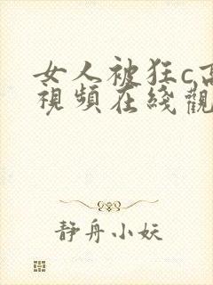 女人被狂c高潮视频在线观看