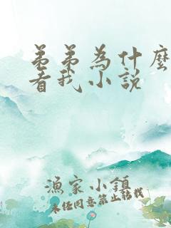 弟弟为什么那样看我小说