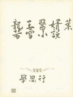 龙王医婿叶凡唐若雪小说
