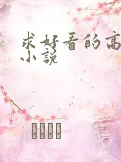 求好看的高干文小说