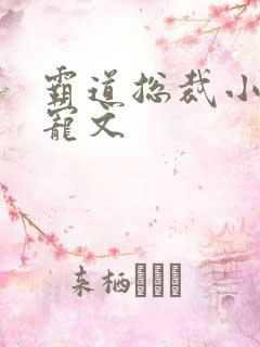霸道总裁小说甜宠文