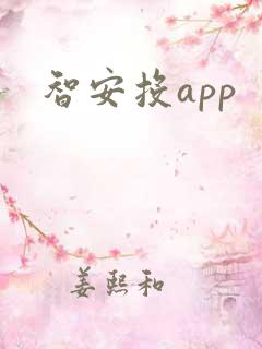 智安投app