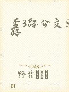 查3路公交车线路