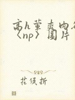 高h荤爽肉欲文〈np〉图片