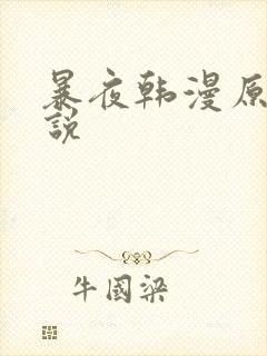 暴夜韩漫原著小说
