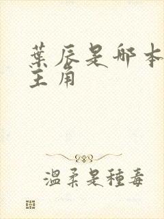 叶辰是哪本小说主角