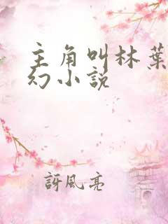 主角叫林叶的玄幻小说